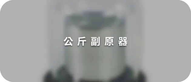 公斤副原器(縮)